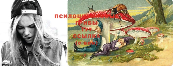 твердый Алексин