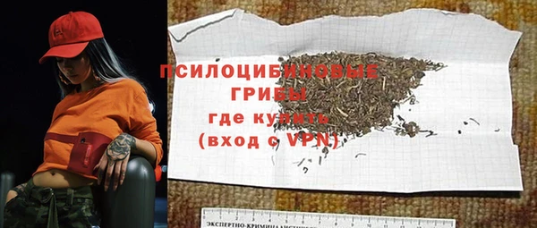 прущие крисы Алзамай