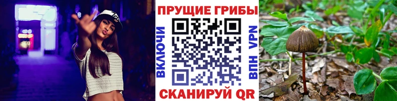 Галлюциногенные грибы Cubensis  Долинск 